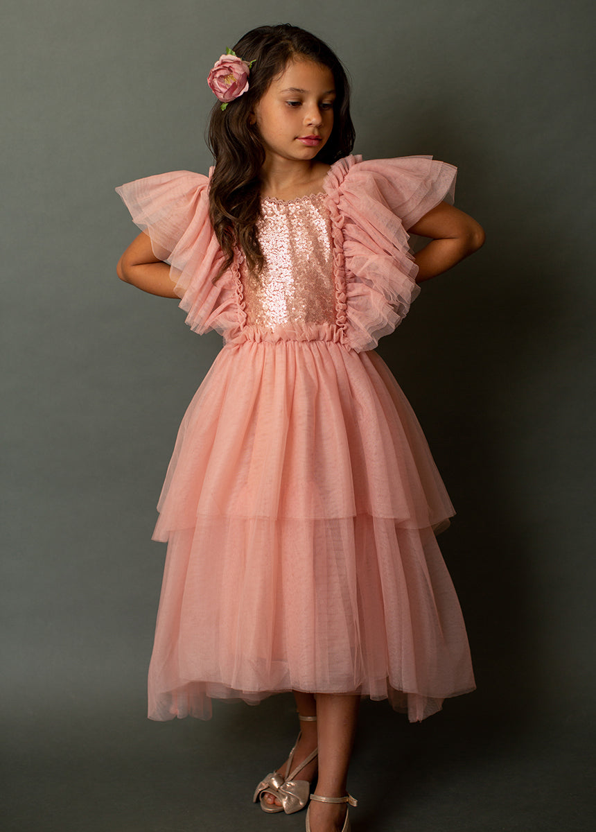 Ayla Petticoat Dress in Rose Dawn - Joyfolie