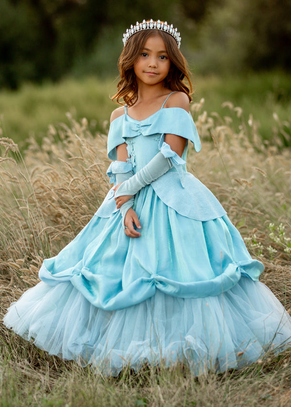 Blue princess dress hotsell