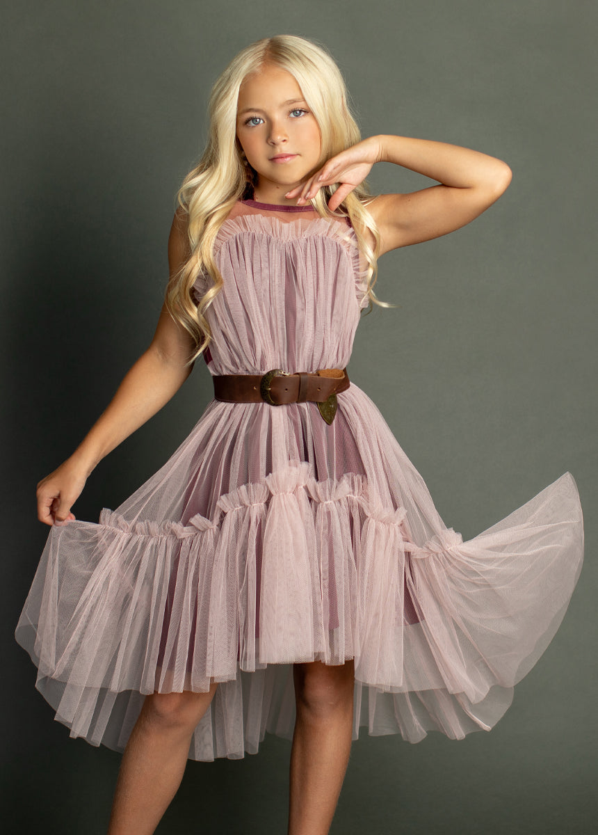 Loie Dress in Blush