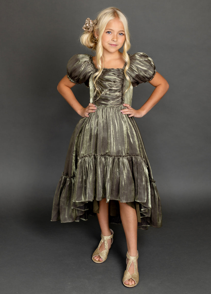 Mathilda Petticoat Dress in Bronze Iridescent