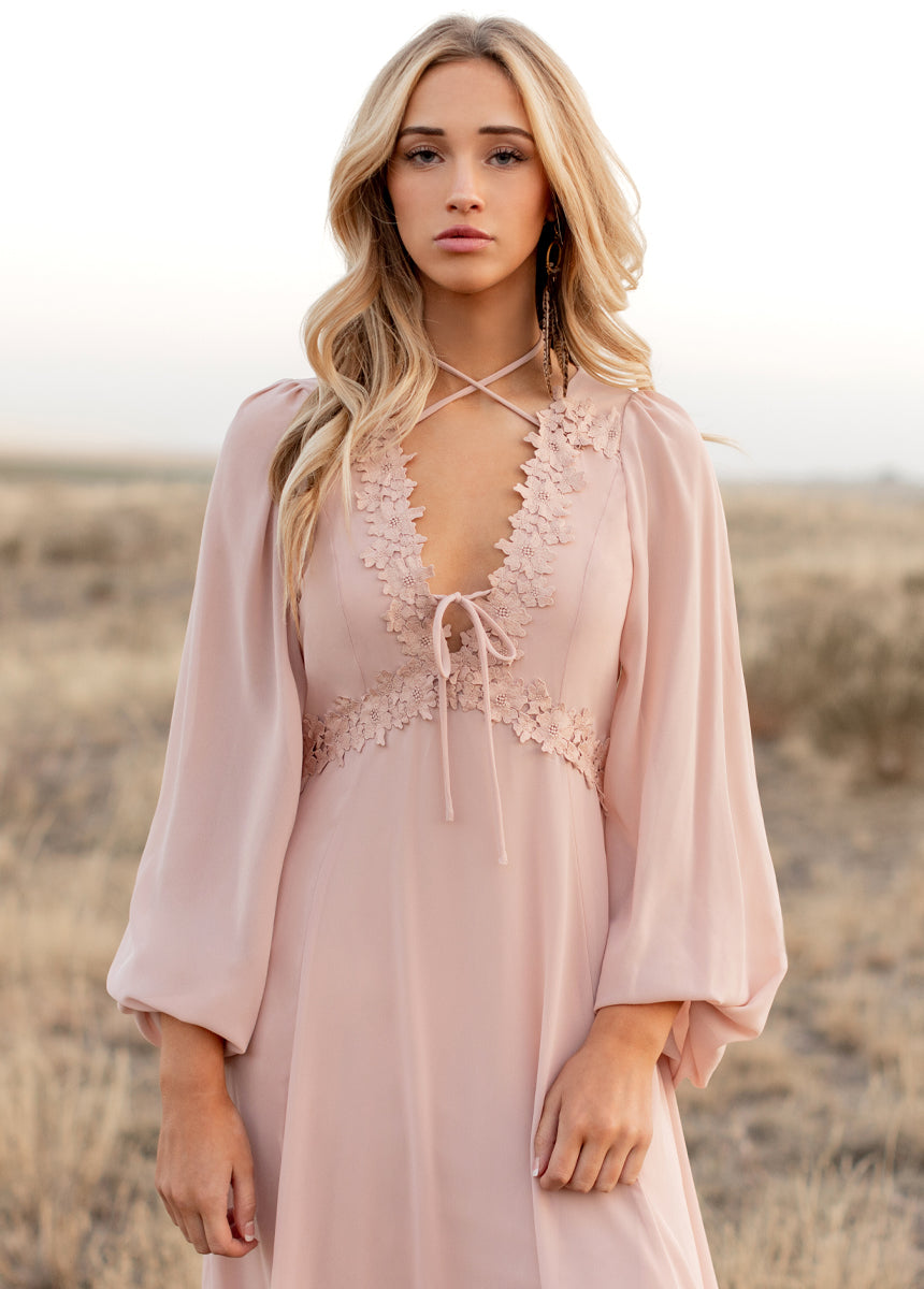 Niobe Dress in Blush